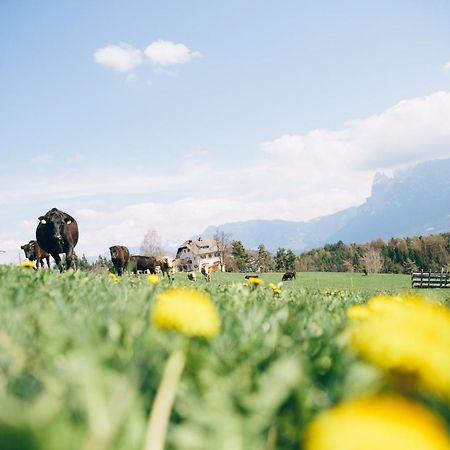 Alpin Farm Birke - Oberweidacherhof Collalbo Ngoại thất bức ảnh