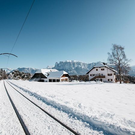 Alpin Farm Birke - Oberweidacherhof Collalbo Ngoại thất bức ảnh