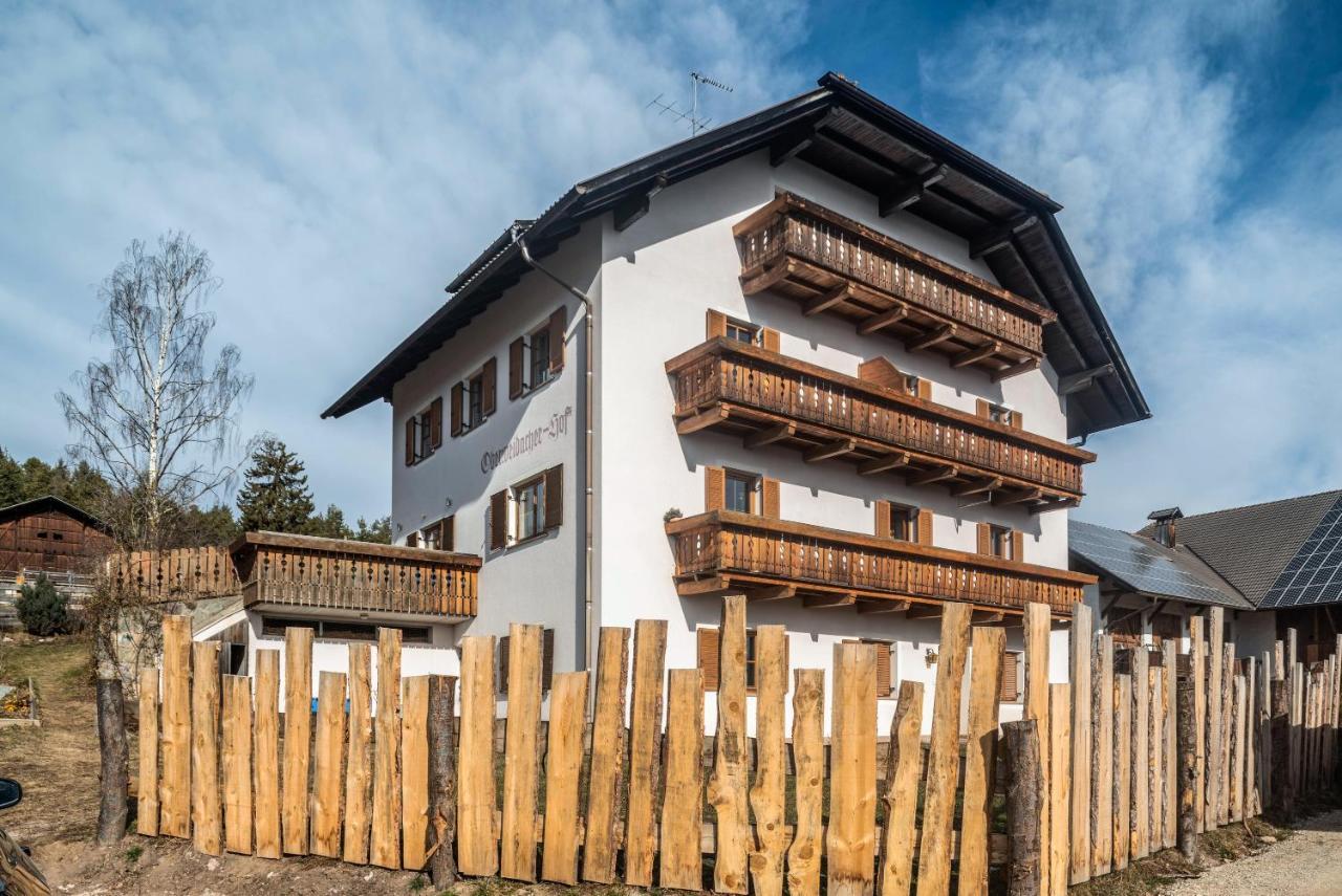 Alpin Farm Birke - Oberweidacherhof Collalbo Ngoại thất bức ảnh