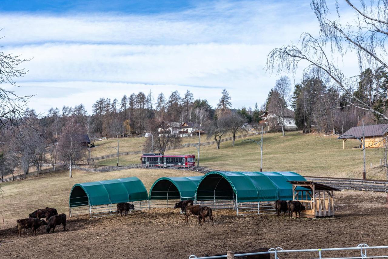Alpin Farm Birke - Oberweidacherhof Collalbo Ngoại thất bức ảnh