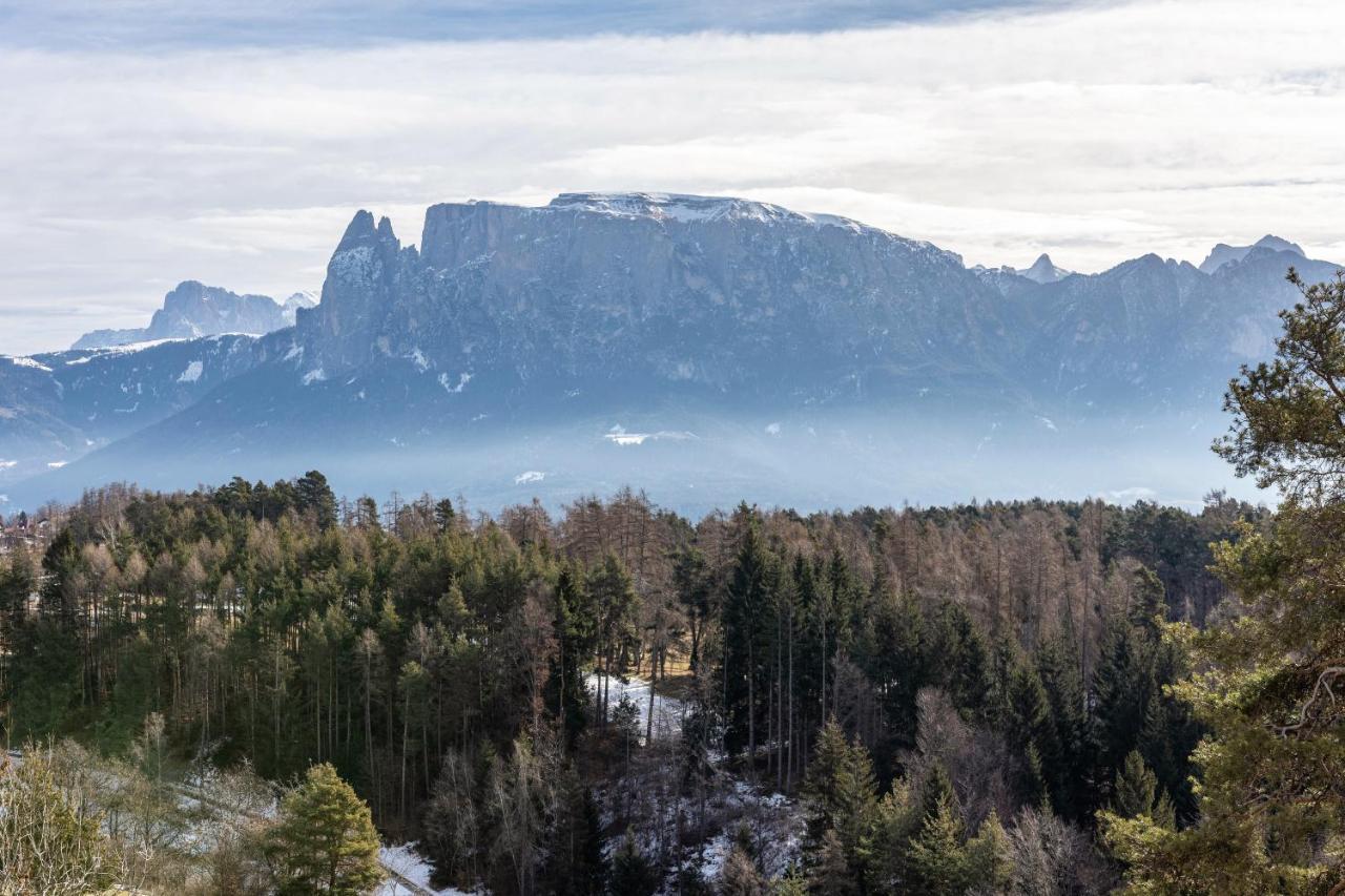 Alpin Farm Birke - Oberweidacherhof Collalbo Ngoại thất bức ảnh