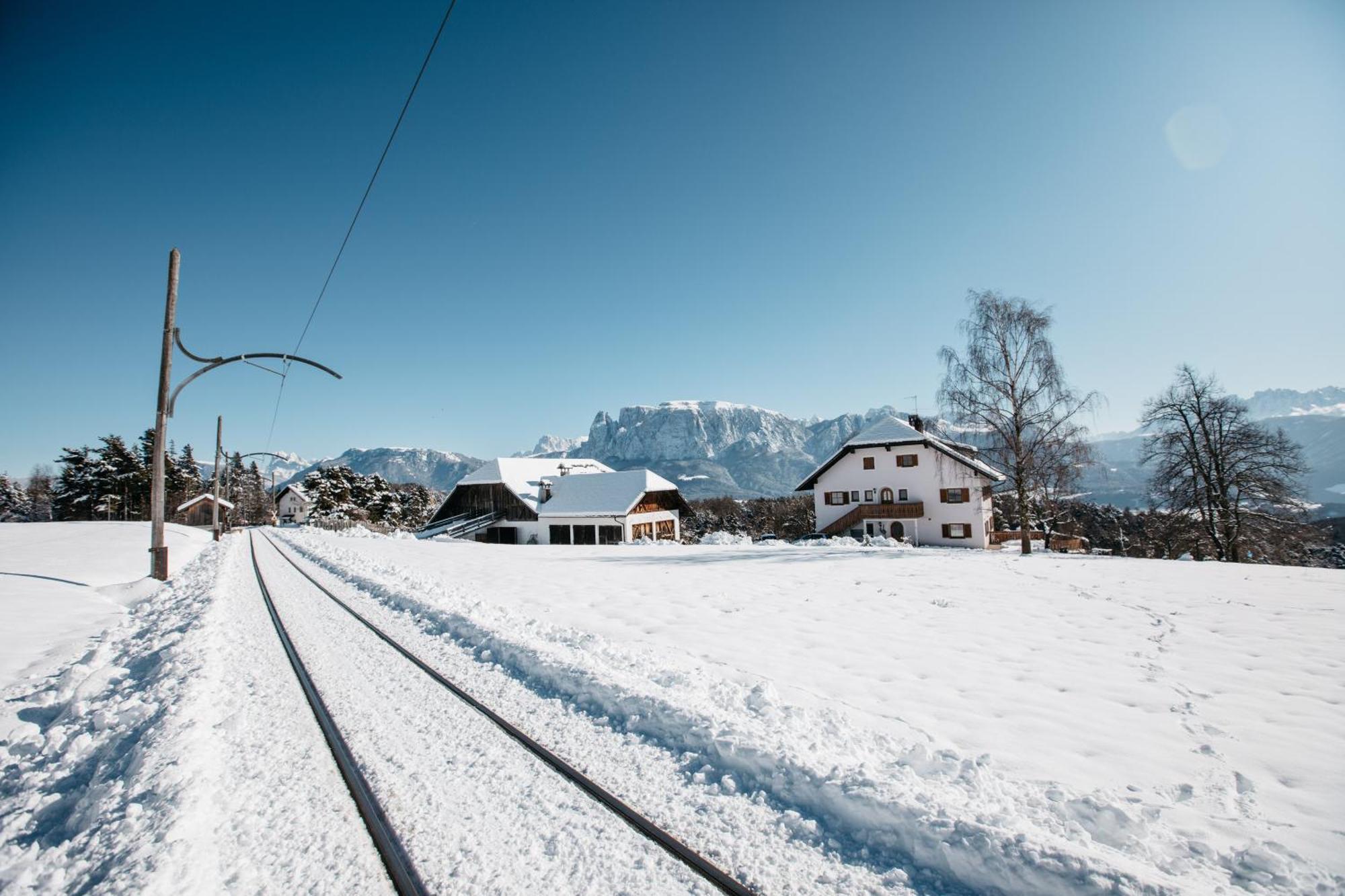 Alpin Farm Birke - Oberweidacherhof Collalbo Ngoại thất bức ảnh